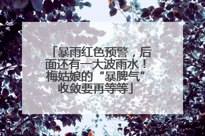 暴雨红色预警，后面还有一大波雨水！梅姑娘的“暴脾气”收敛要再等等
