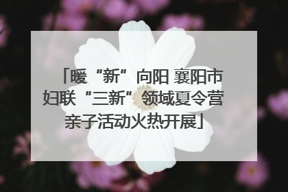 暖“新”向阳 襄阳市妇联“三新”领域夏令营亲子活动火热开展