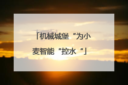 机械城堡“为小麦智能“控水“