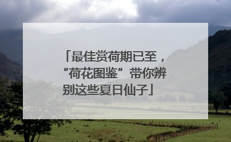 最佳赏荷期已至，“荷花图鉴”带你辨别这些夏日仙子