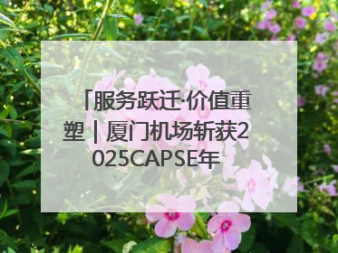 服务跃迁·价值重塑｜厦门机场斩获2025CAPSE年度峰会四项大奖