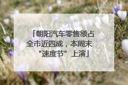 朝阳汽车零售额占全市近四成，本周末“速度节”上演