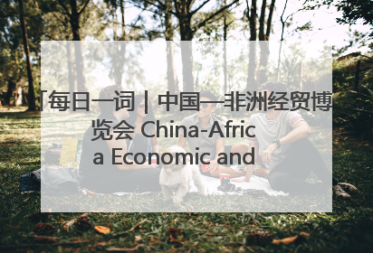 每日一词｜中国—非洲经贸博览会 China-Africa Economic and Trade Expo