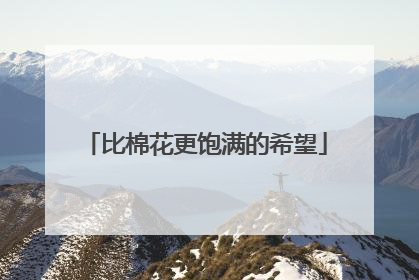 比棉花更饱满的希望