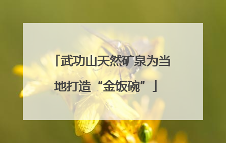 武功山天然矿泉为当地打造“金饭碗”