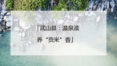 武山县：温泉滋养“贡米”香