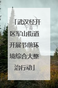 武汉经开区军山街道开展节前环境综合大整治行动