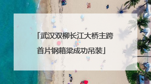 武汉双柳长江大桥主跨首片钢箱梁成功吊装