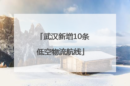 武汉新增10条低空物流航线