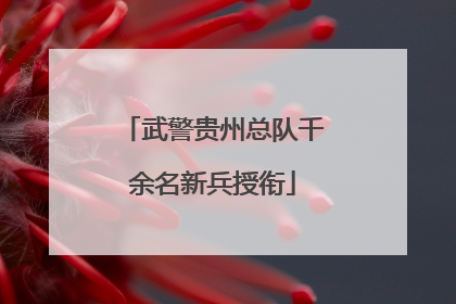 武警贵州总队千余名新兵授衔