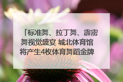 标准舞、拉丁舞、霹雳舞视觉盛宴 城北体育馆将产生4枚体育舞蹈金牌｜世运会探馆行