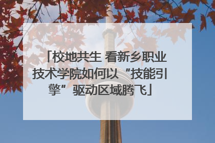 校地共生 看新乡职业技术学院如何以“技能引擎”驱动区域腾飞