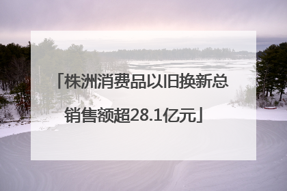株洲消费品以旧换新总销售额超28.1亿元