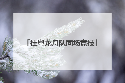 桂粤龙舟队同场竞技