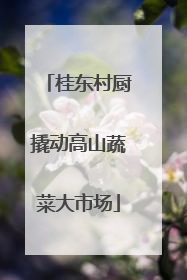桂东村厨撬动高山蔬菜大市场