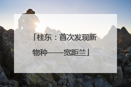 桂东：首次发现新物种——宽距兰