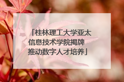桂林理工大学亚太信息技术学院揭牌 推动数字人才培养