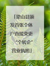 梁山县颁发首张个体户直接变更“个转企”营业执照