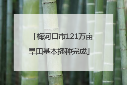 梅河口市121万亩旱田基本播种完成
