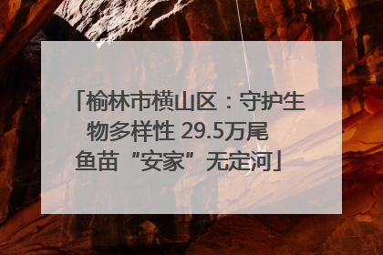 榆林市横山区：守护生物多样性 29.5万尾鱼苗“安家”无定河