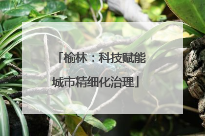 榆林：科技赋能城市精细化治理