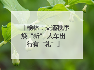榆林：交通秩序焕“新” 人车出行有“礼”