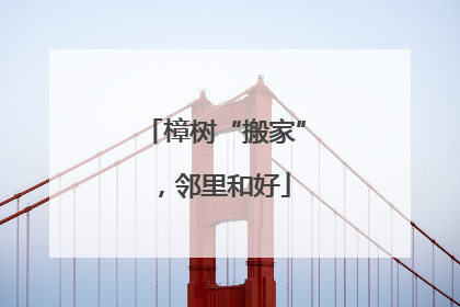 樟树“搬家”，邻里和好