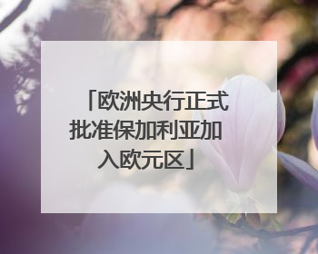 欧洲央行正式批准保加利亚加入欧元区