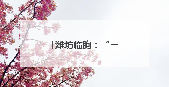 潍坊临朐：“三个导向”引领财会监督走深走实