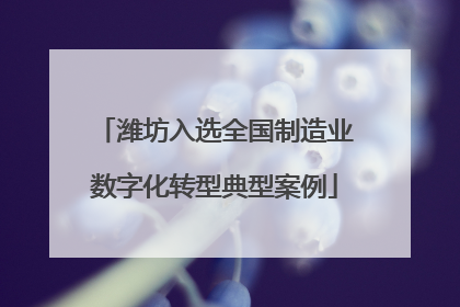 潍坊入选全国制造业数字化转型典型案例
