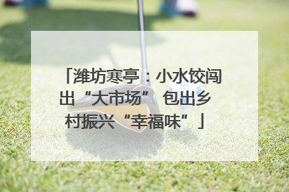 潍坊寒亭：小水饺闯出“大市场” 包出乡村振兴“幸福味”