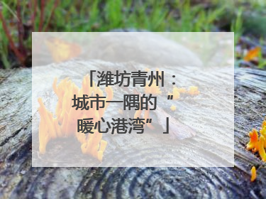 潍坊青州：城市一隅的“暖心港湾”