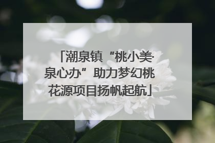 潮泉镇“桃小美·泉心办”助力梦幻桃花源项目扬帆起航