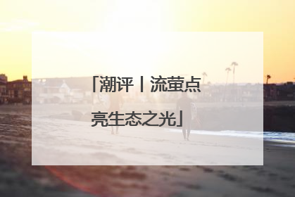 潮评丨流萤点亮生态之光
