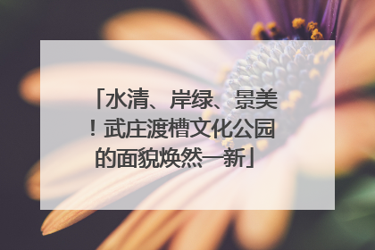水清、岸绿、景美！武庄渡槽文化公园的面貌焕然一新