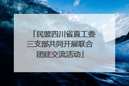 民盟四川省直工委三支部共同开展联合团建交流活动