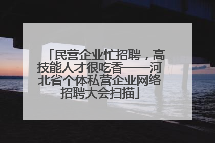 民营企业忙招聘，高技能人才很吃香——河北省个体私营企业网络招聘大会扫描