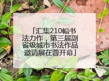 汇集210幅书法力作，第三届副省级城市书法作品邀请展在蓉开幕