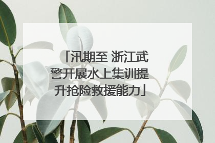汛期至 浙江武警开展水上集训提升抢险救援能力