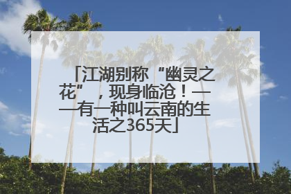 江湖别称“幽灵之花”，现身临沧！——有一种叫云南的生活之365天