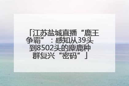 江苏盐城直播“鹿王争霸”：感知从39头到8502头的麋鹿种群复兴“密码”