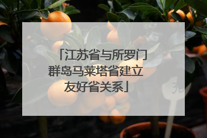 江苏省与所罗门群岛马莱塔省建立友好省关系