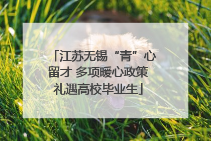 江苏无锡“青”心留才 多项暖心政策礼遇高校毕业生