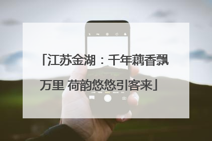 江苏金湖：千年藕香飘万里 荷韵悠悠引客来