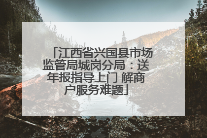 江西省兴国县市场监管局城岗分局：送年报指导上门 解商户服务难题