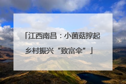 江西南昌：小菌菇撑起乡村振兴“致富伞”
