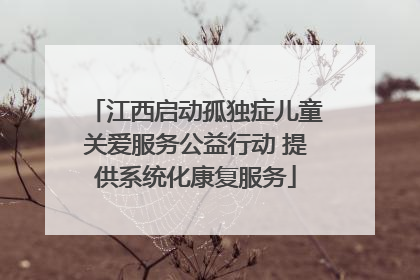 江西启动孤独症儿童关爱服务公益行动 提供系统化康复服务