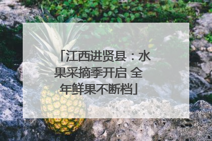 江西进贤县：水果采摘季开启 全年鲜果不断档