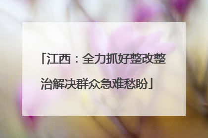 江西：全力抓好整改整治解决群众急难愁盼