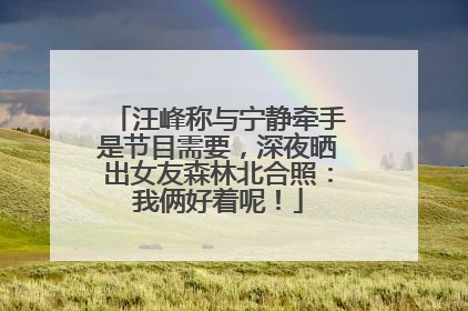 汪峰称与宁静牵手是节目需要，深夜晒出女友森林北合照：我俩好着呢！